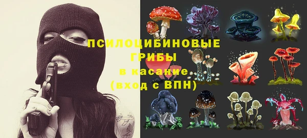 СК Абаза
