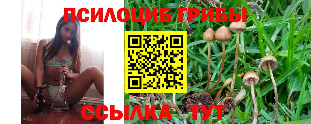 Галлюциногенные грибы прущие грибы  Вход с VPN  Зерноград 