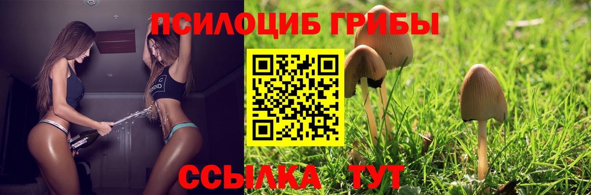 Галлюциногенные грибы мухоморы Зерноград