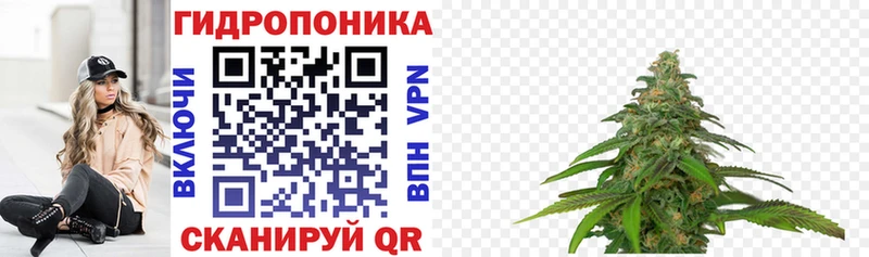 купить  сайты  Зерноград  Марихуана сатива 